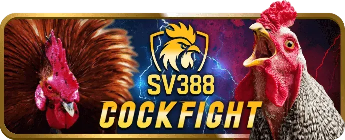 Chọn và chơi slot game mig88